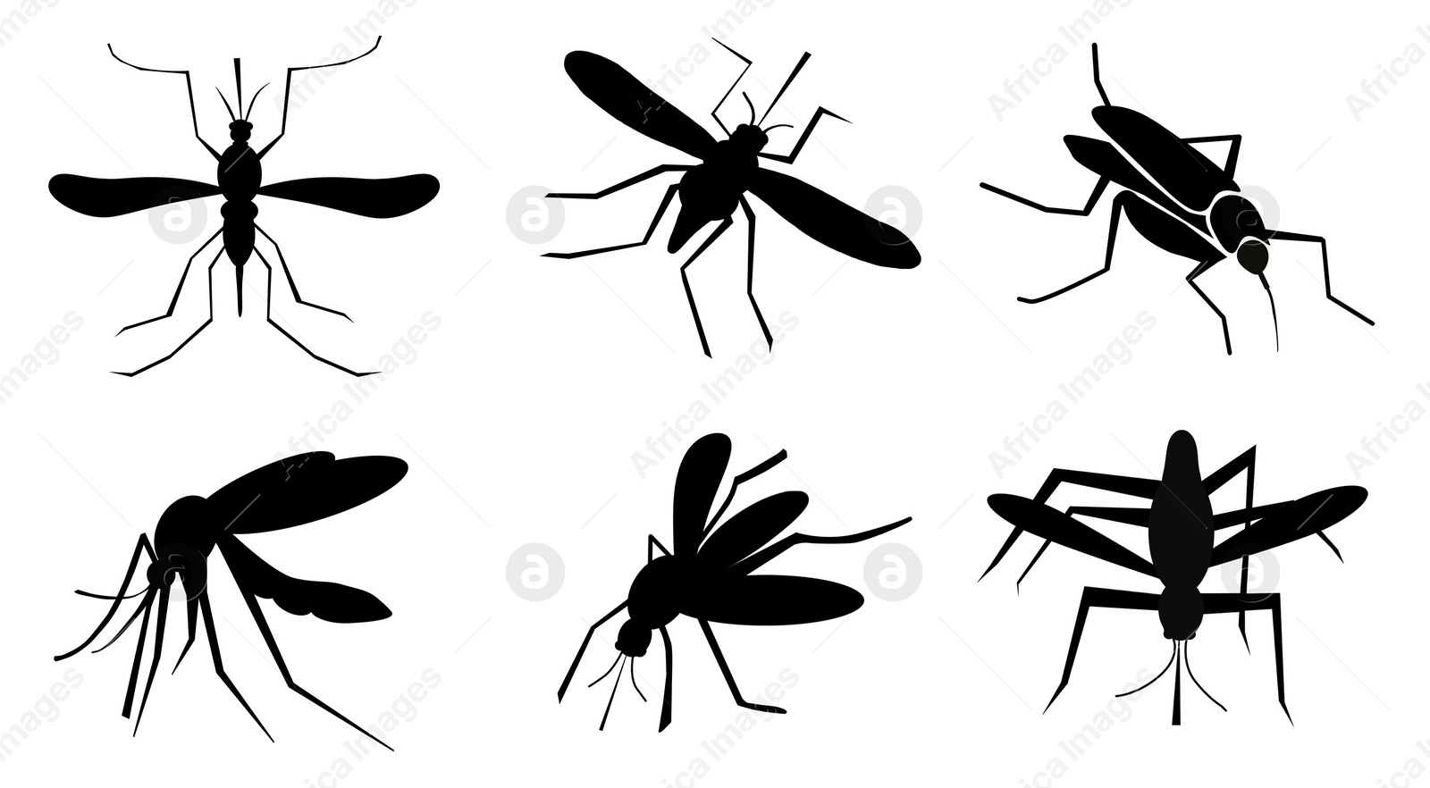 Image of Set of black mosquitoes on white background. Illustration