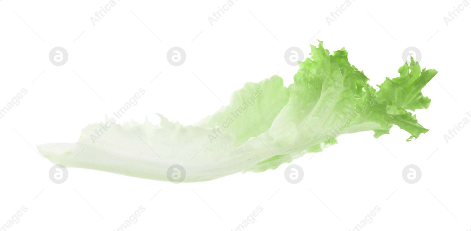 Photo of Fresh green lettuce leaf isolated on white