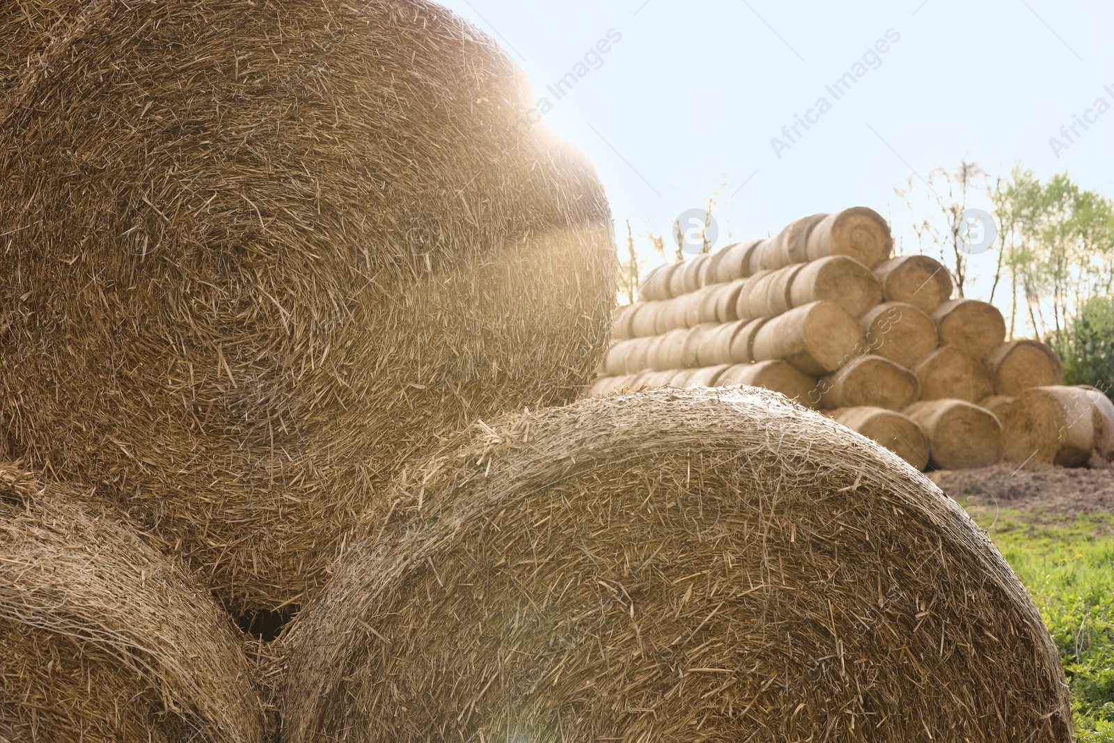 Photo of Many hay bales outdoors on sunny day, closeup