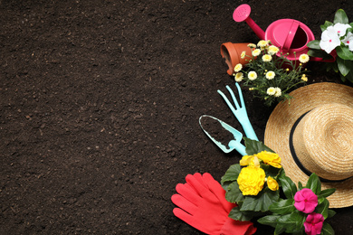 Flat lay composition with gardening tools and flowers on soil, space for text