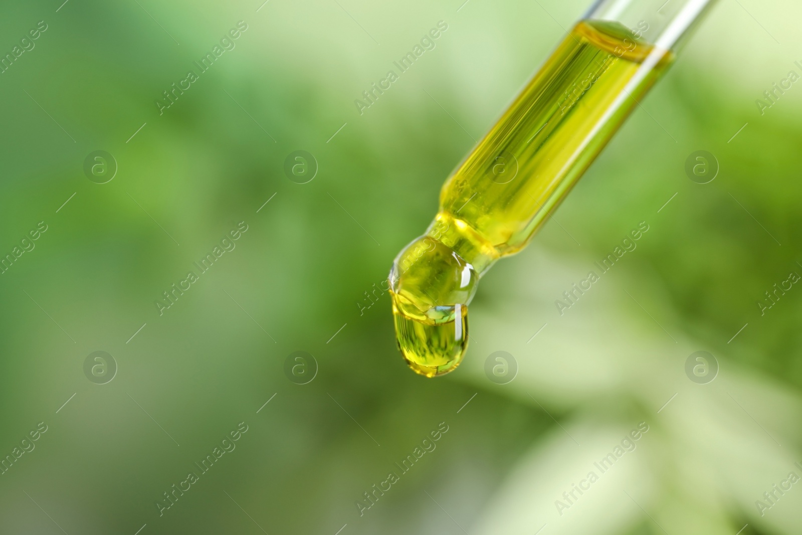 Photo of Pipette with essential oil on blurred background. Space for text