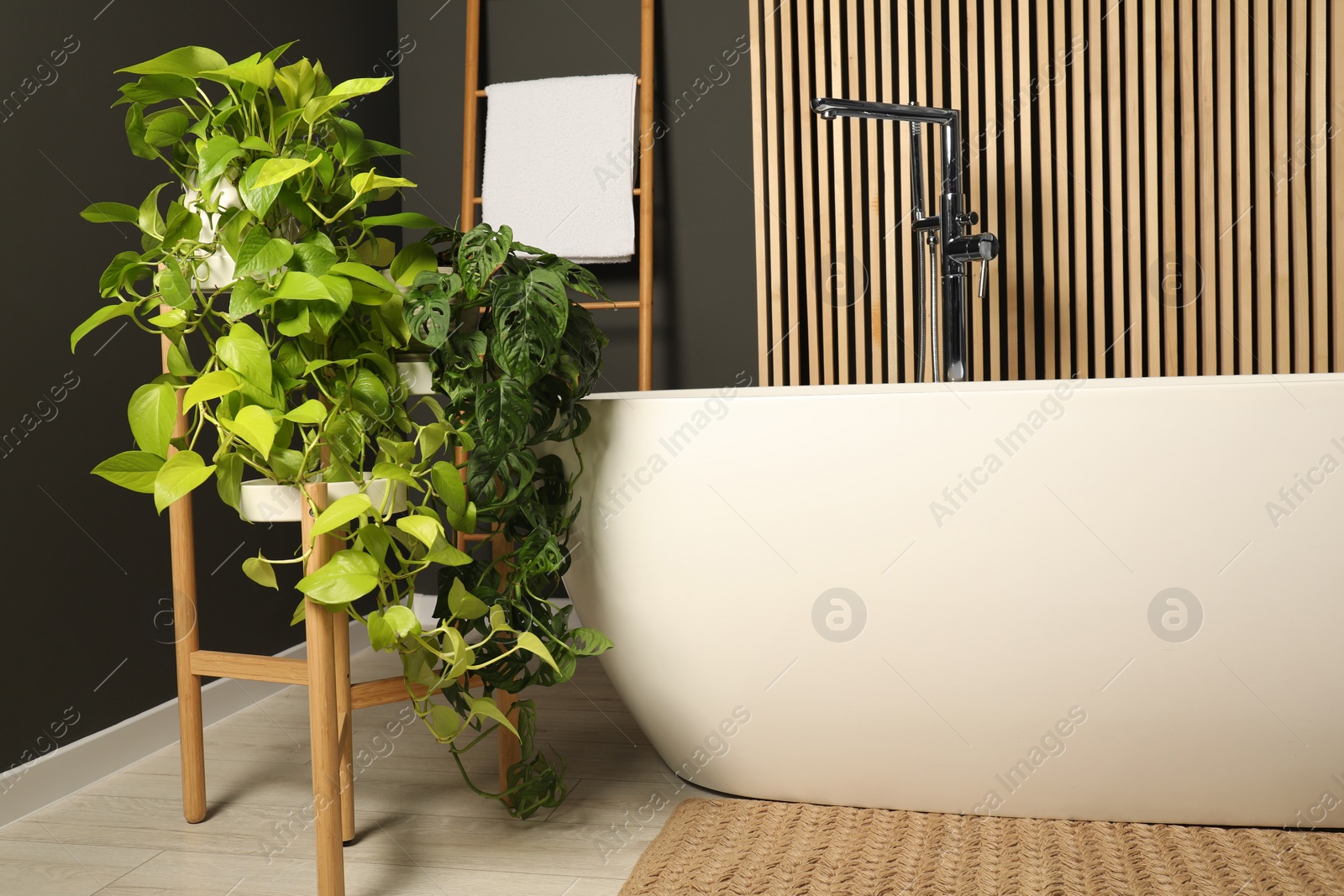 Photo of Spa day. Stylish bathroom interior with ceramic tub and green houseplants