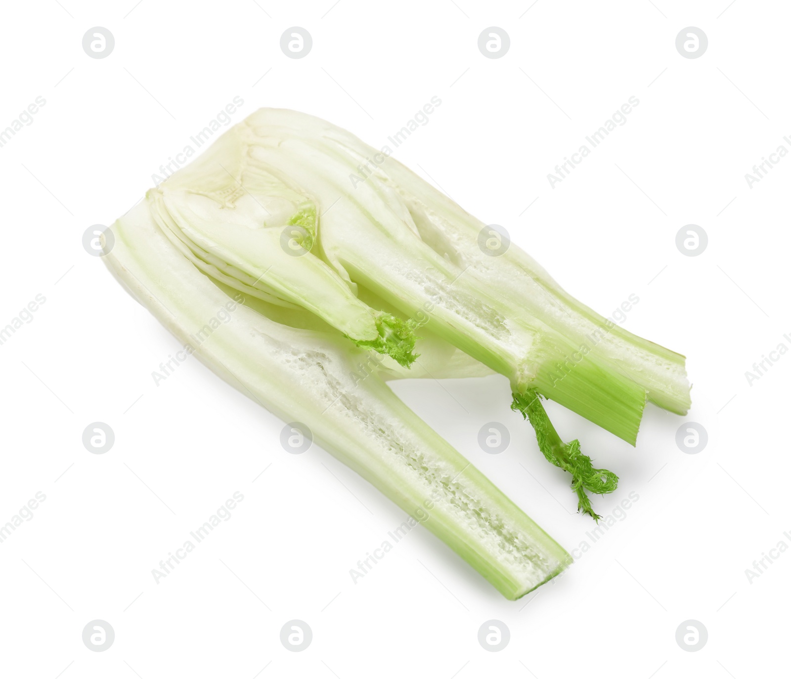 Photo of Cut raw fennel bulb isolated on white