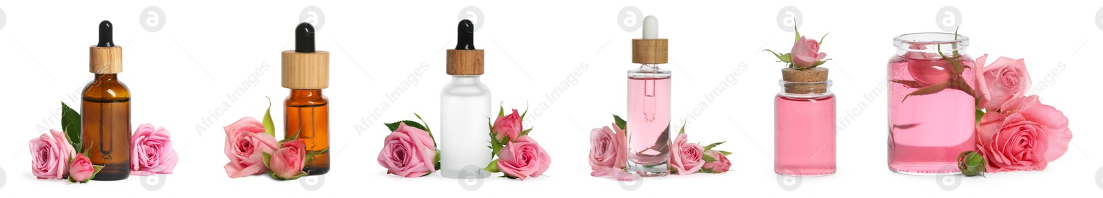 Image of Set with bottles of essential rose oil and flowers on white background. Banner design