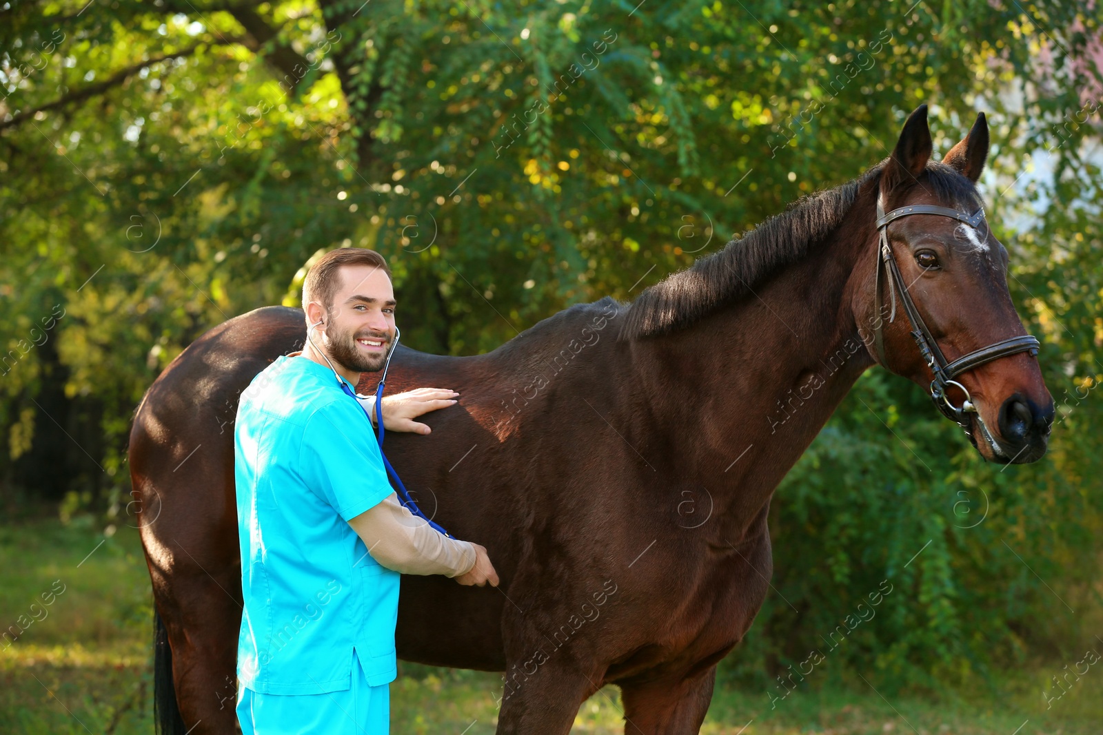 Photo of Veterinarian in uniform examining beautiful brown horse outdoors