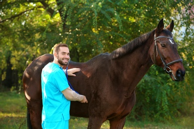 Photo of Veterinarian in uniform examining beautiful brown horse outdoors