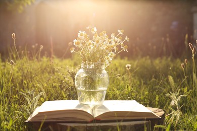 Photo of Open book and jar with chamomiles on green grass outdoors