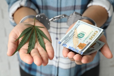 Woman in handcuffs holding hemp leaf and dollars, closeup