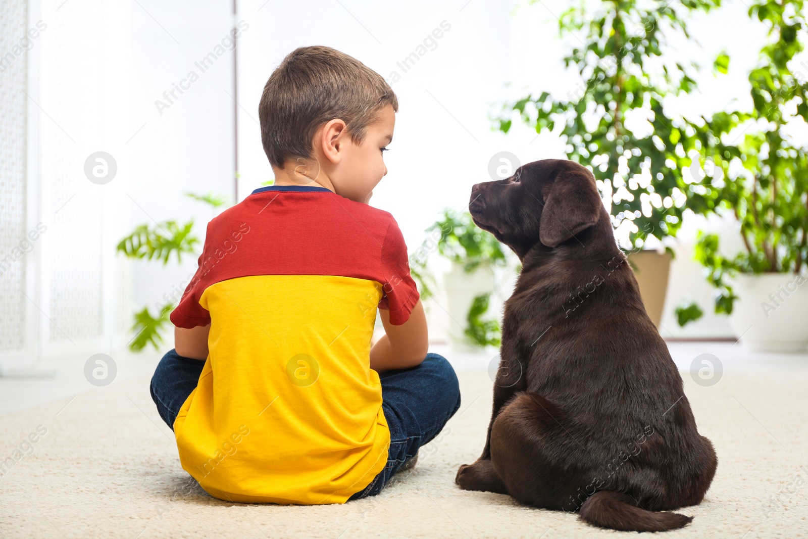 Photo of Little boy with puppy on floor at home. Friendly dog