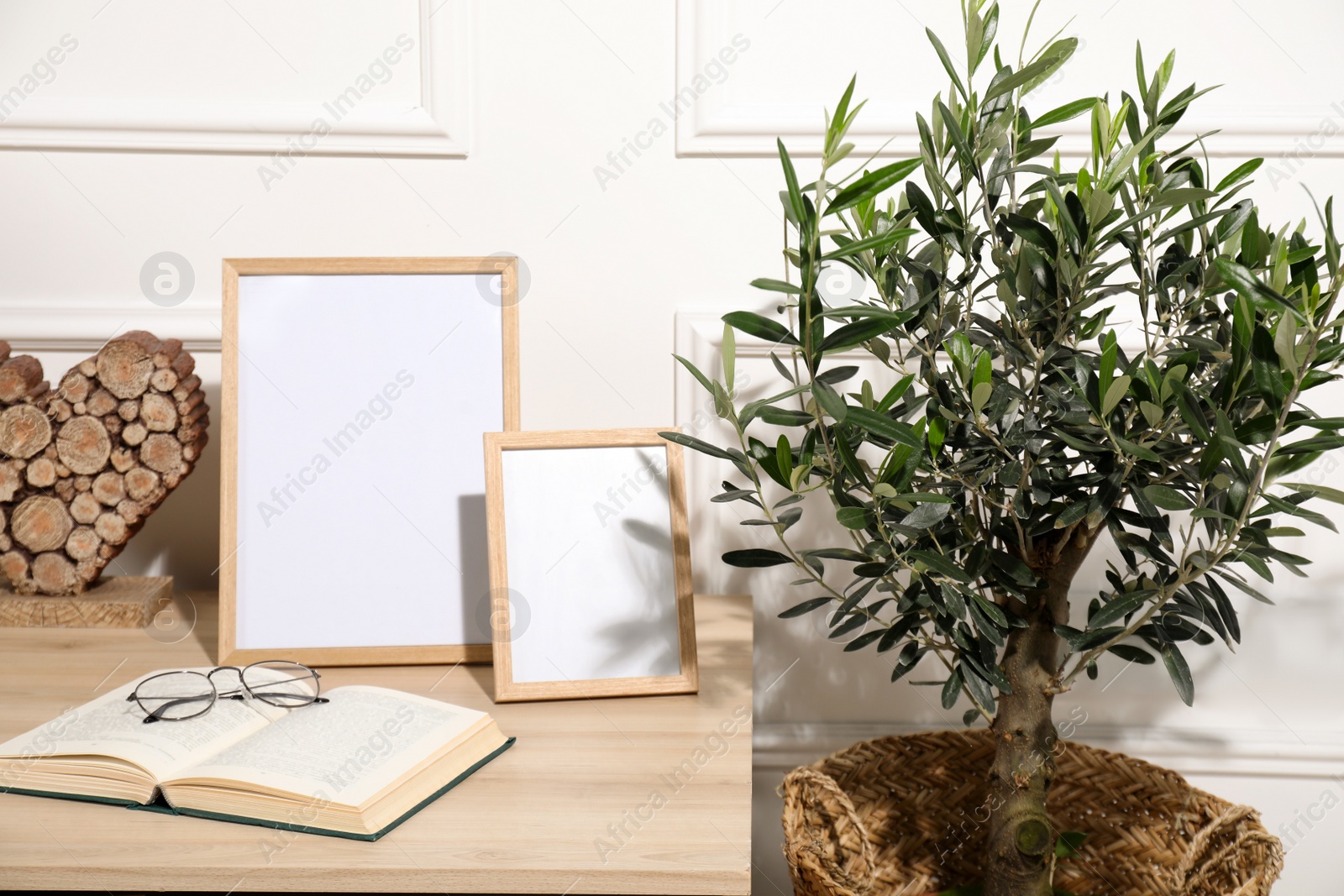 Photo of Beautiful young potted olive tree near table in living room. Interior element