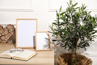 Photo of Beautiful young potted olive tree near table in living room. Interior element