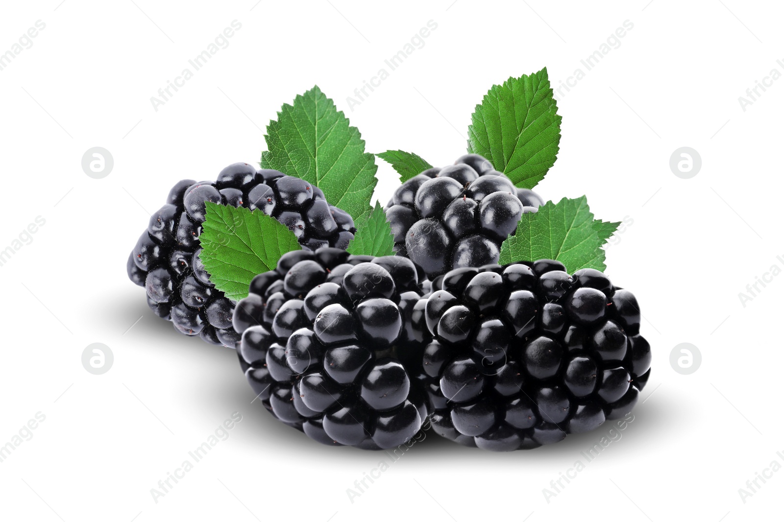 Image of Fresh ripe blackberries with green leaves on white background