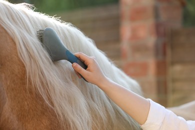 Photo of Woman brushing adorable horse outdoors, closeup. Pet care