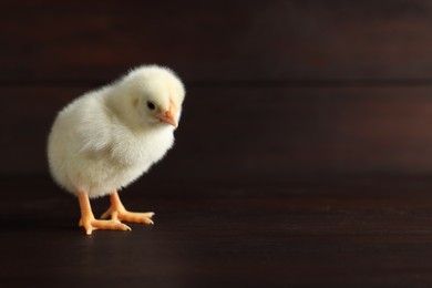 Photo of Cute chick on wooden surface, closeup with space for text. Baby animal