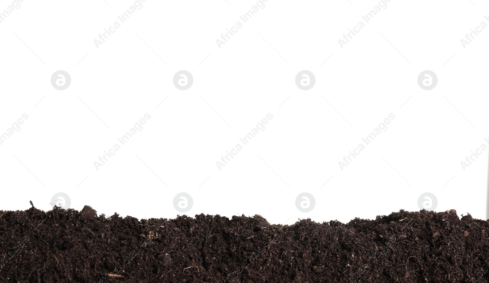 Photo of Layer of fresh soil isolated on white. Gardening time