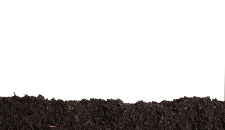 Layer of fresh soil isolated on white. Gardening time