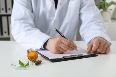 Photo of Doctor working at table with medical hemp and fresh leaf indoors, closeup
