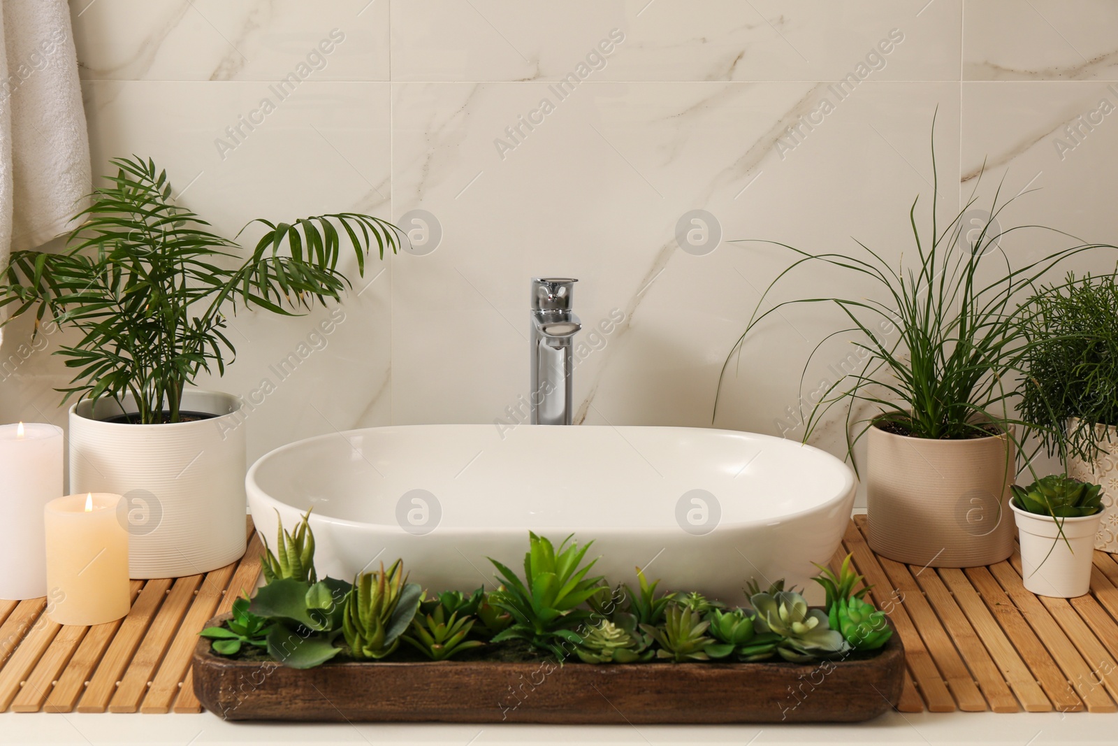 Photo of Counter with sink and many different houseplants near white marble wall