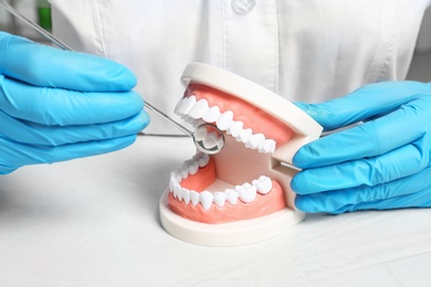Photo of Dentist showing how to exam teeth with educational model of oral cavity and mouth mirror at table