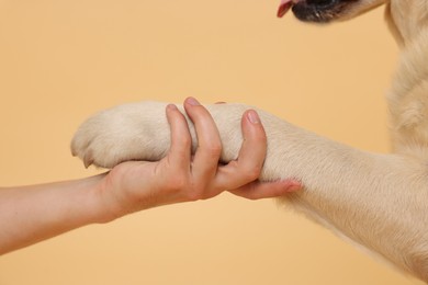 Dog giving paw to man on beige background, closeup