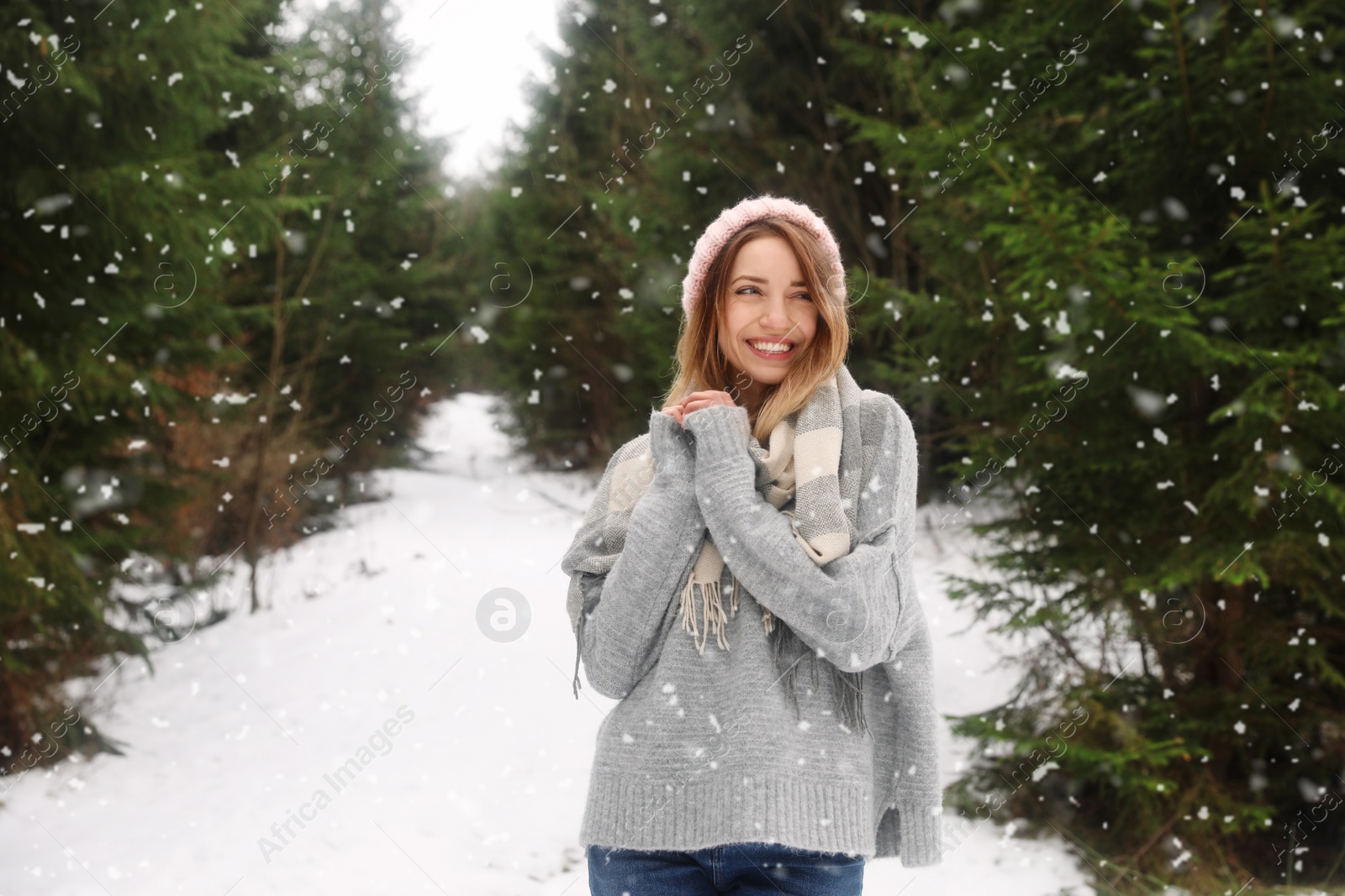 Photo of Young woman in snowy conifer forest. Winter vacation