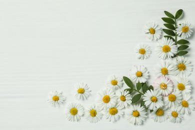 Photo of Beautiful daisy flowers and leaves on white wooden background, flat lay. Space for text