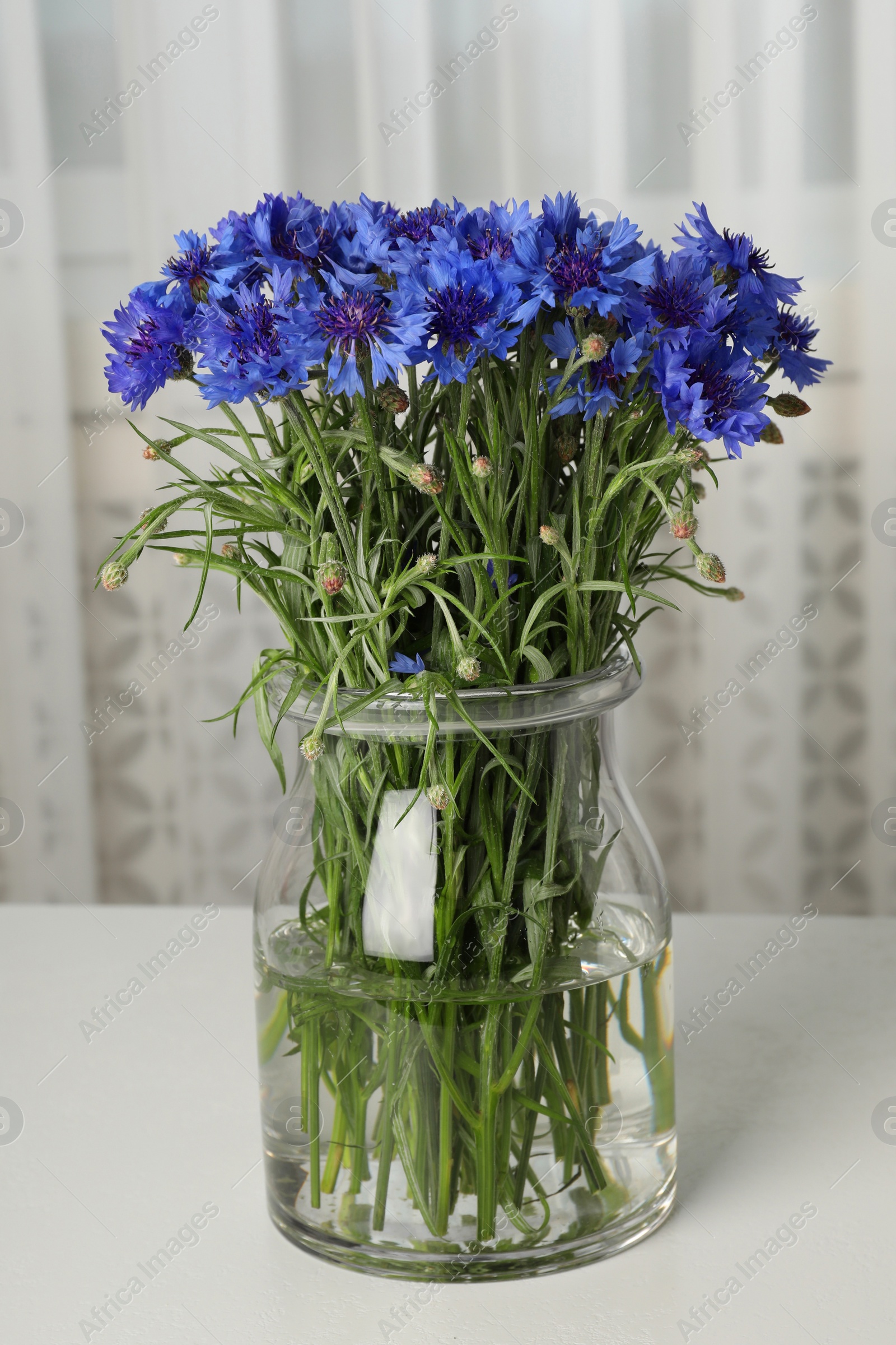 Photo of Bouquet of beautiful cornflowers in glass vase on light table at home