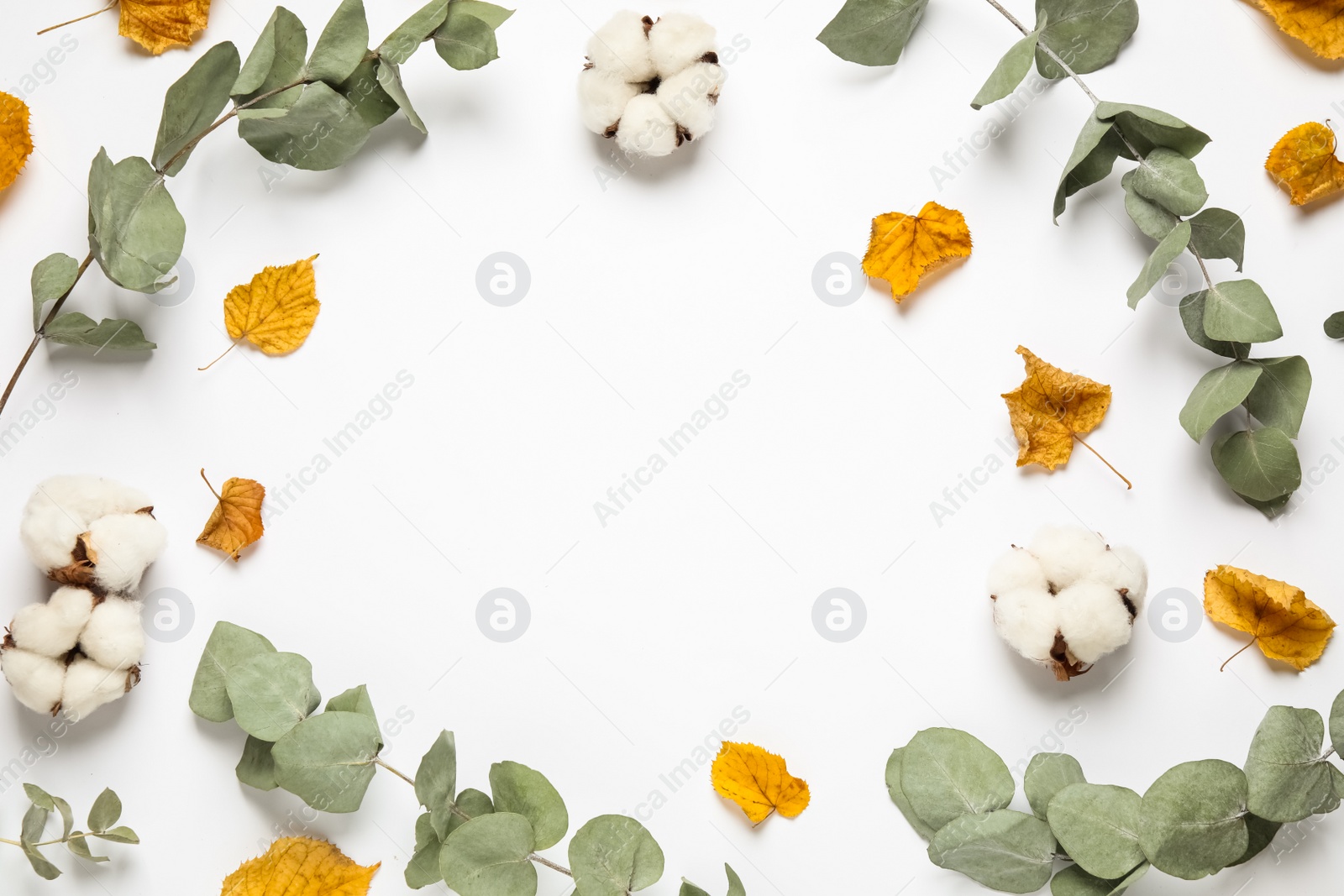 Photo of Flat lay composition with autumn leaves and space for text on white background