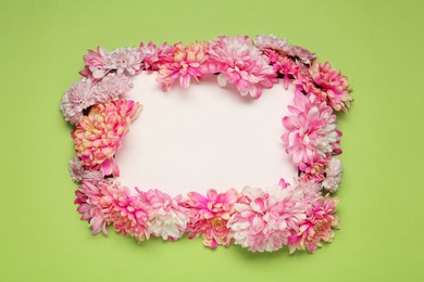 Frame of beautiful chrysanthemums on light green background, flat lay. Space for text