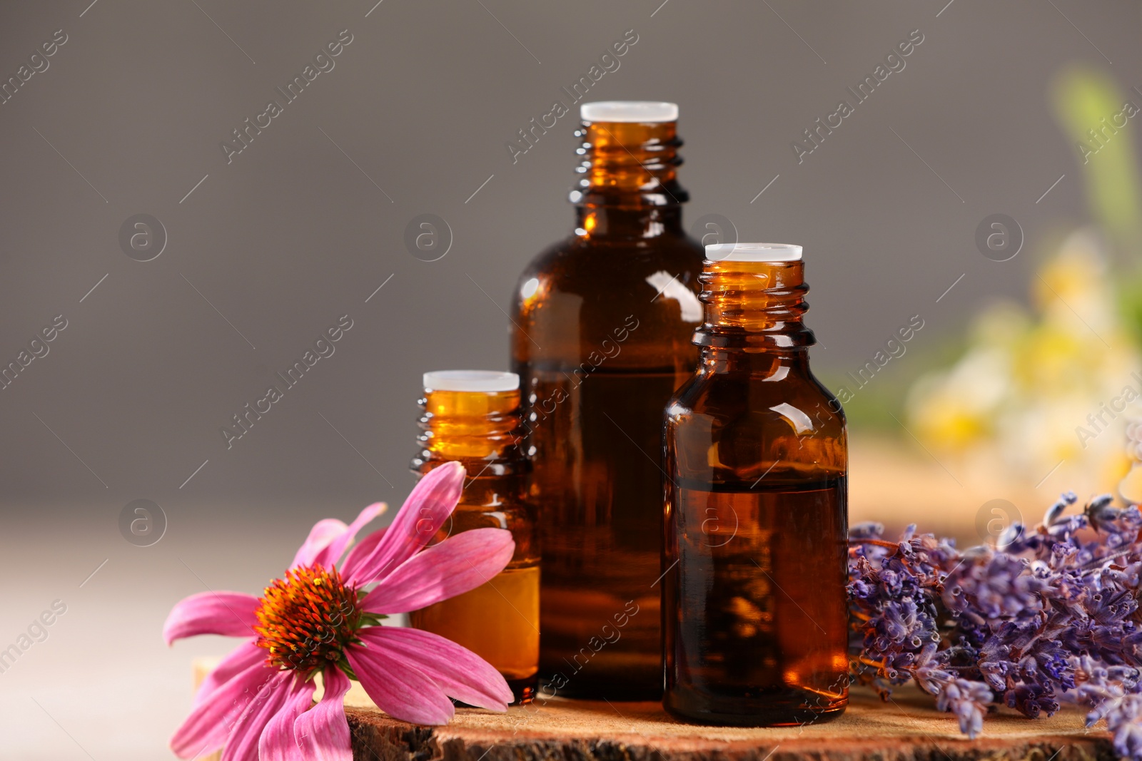 Photo of Bottles with essential oils and flowers on blurred background, closeup