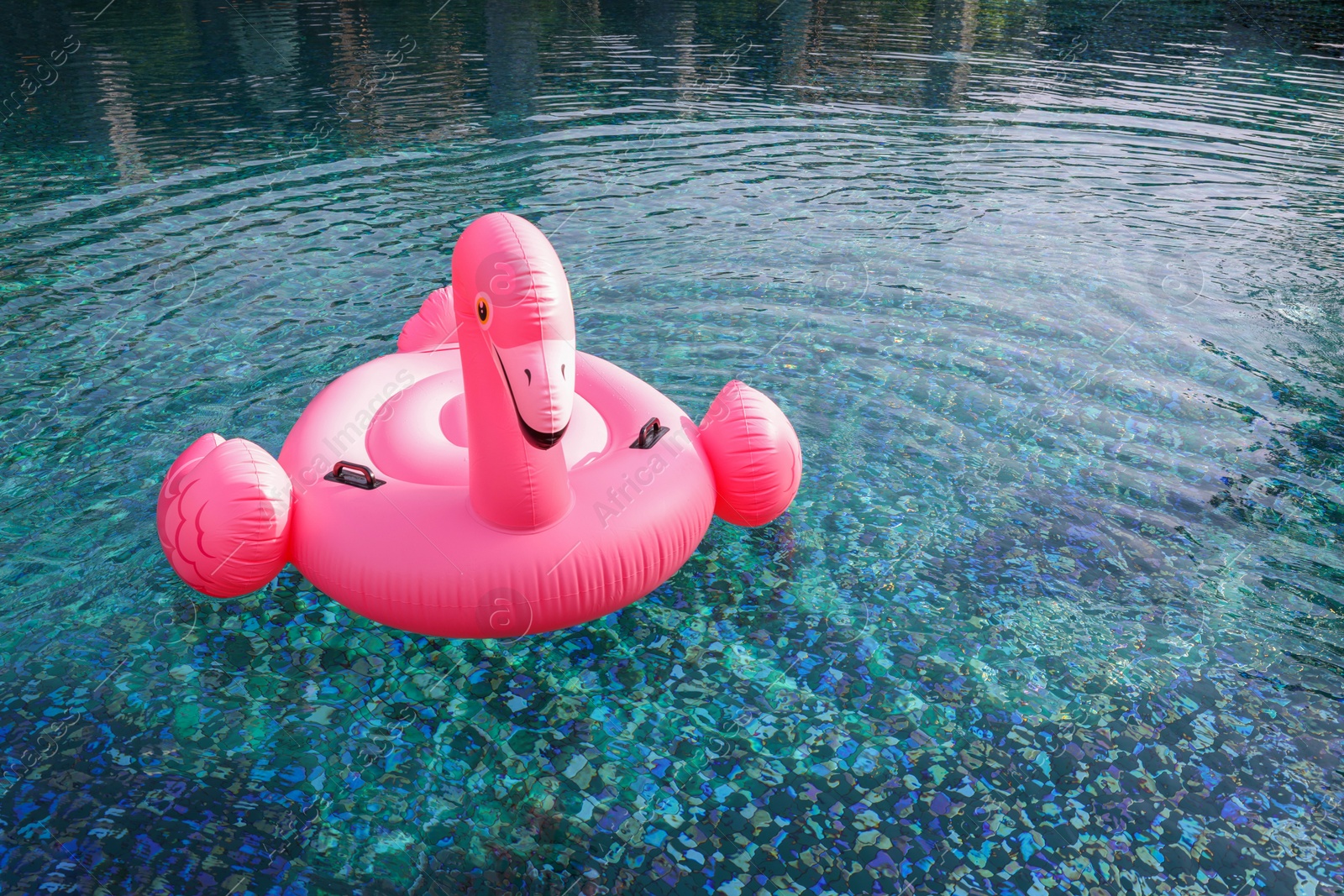 Photo of Float in shape of flamingo in swimming pool outdoors