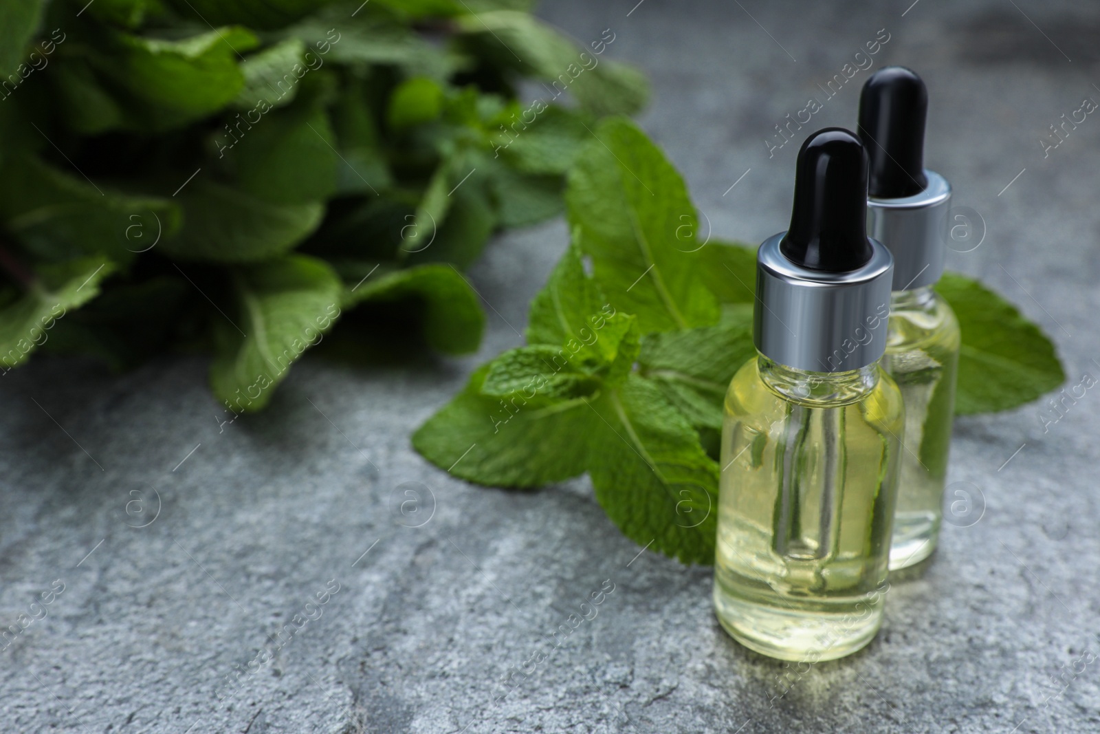 Photo of Bottles of essential oil and mint on grey table, closeup. Space for text