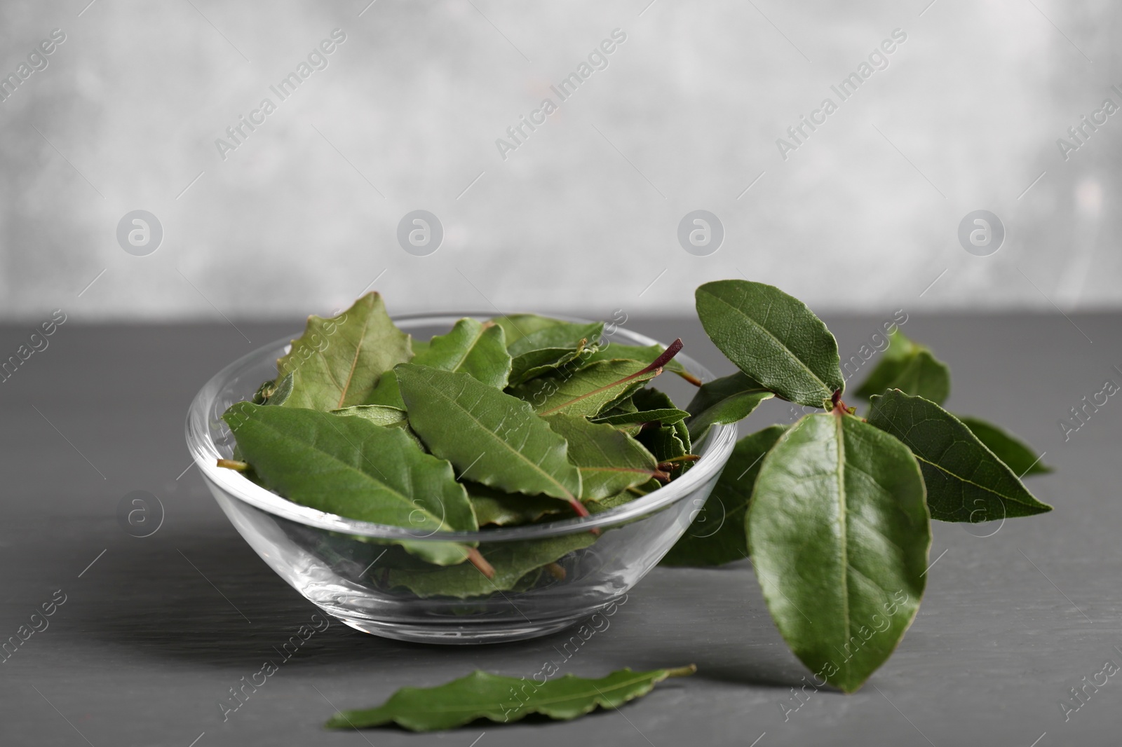 Photo of Fresh green bay leaves in bowl on gray wooden table