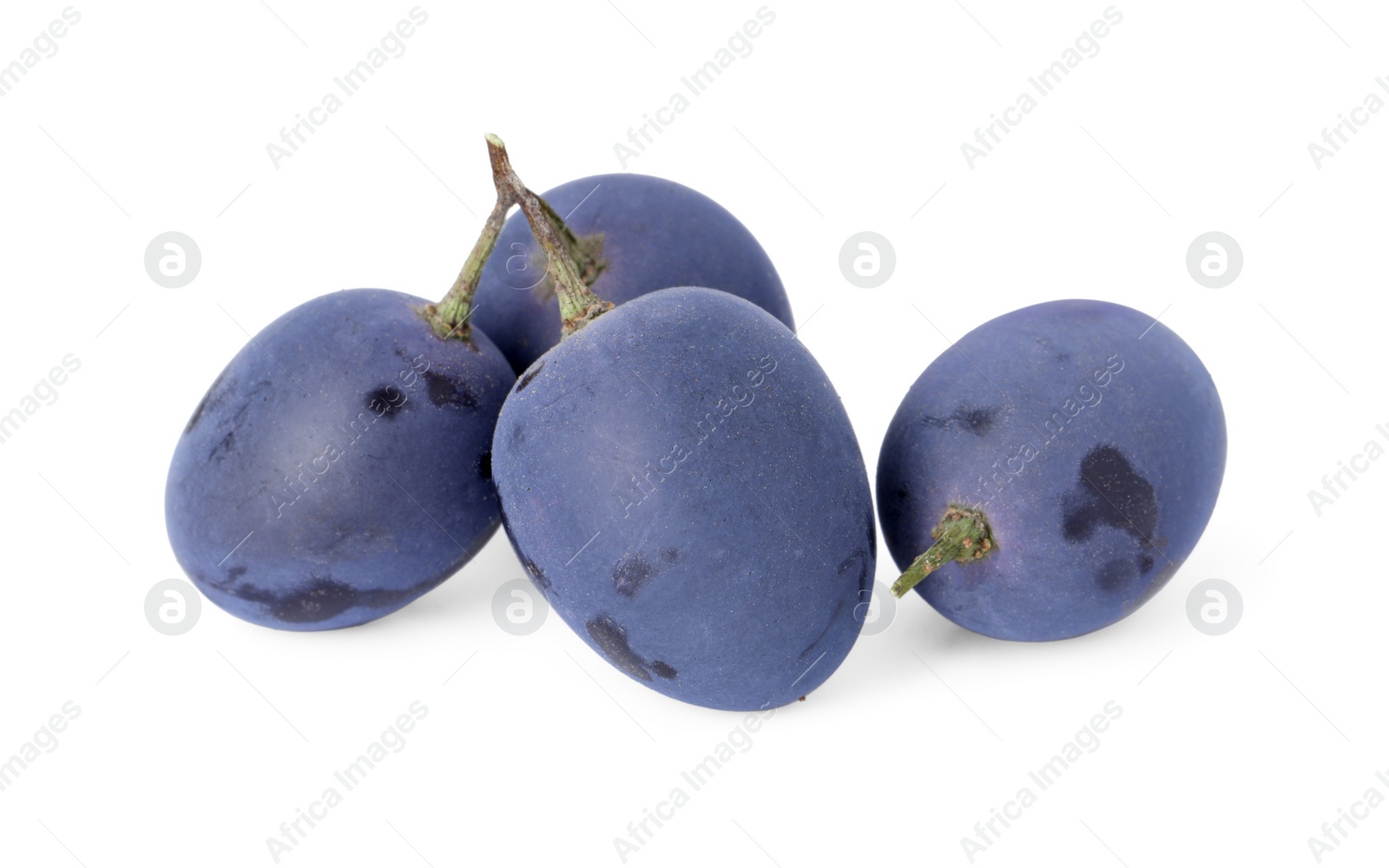 Photo of Delicious ripe dark blue grapes isolated on white