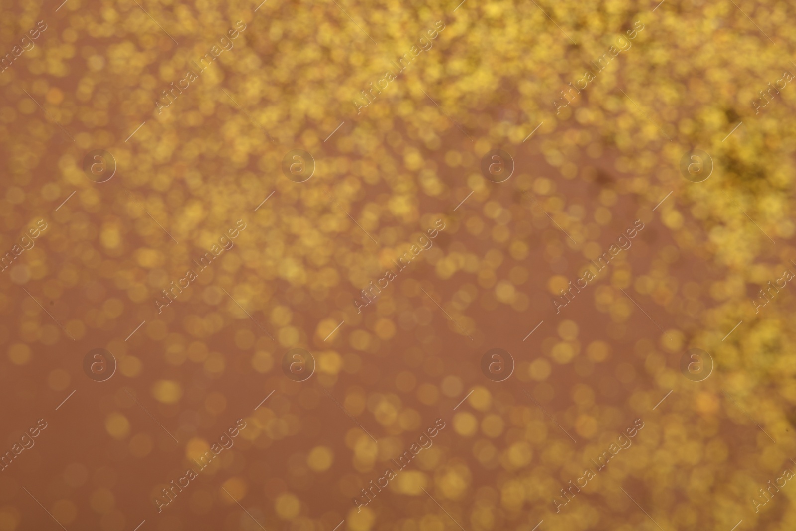 Photo of Blurred view of golden glitter on dusty rose background. Bokeh effect