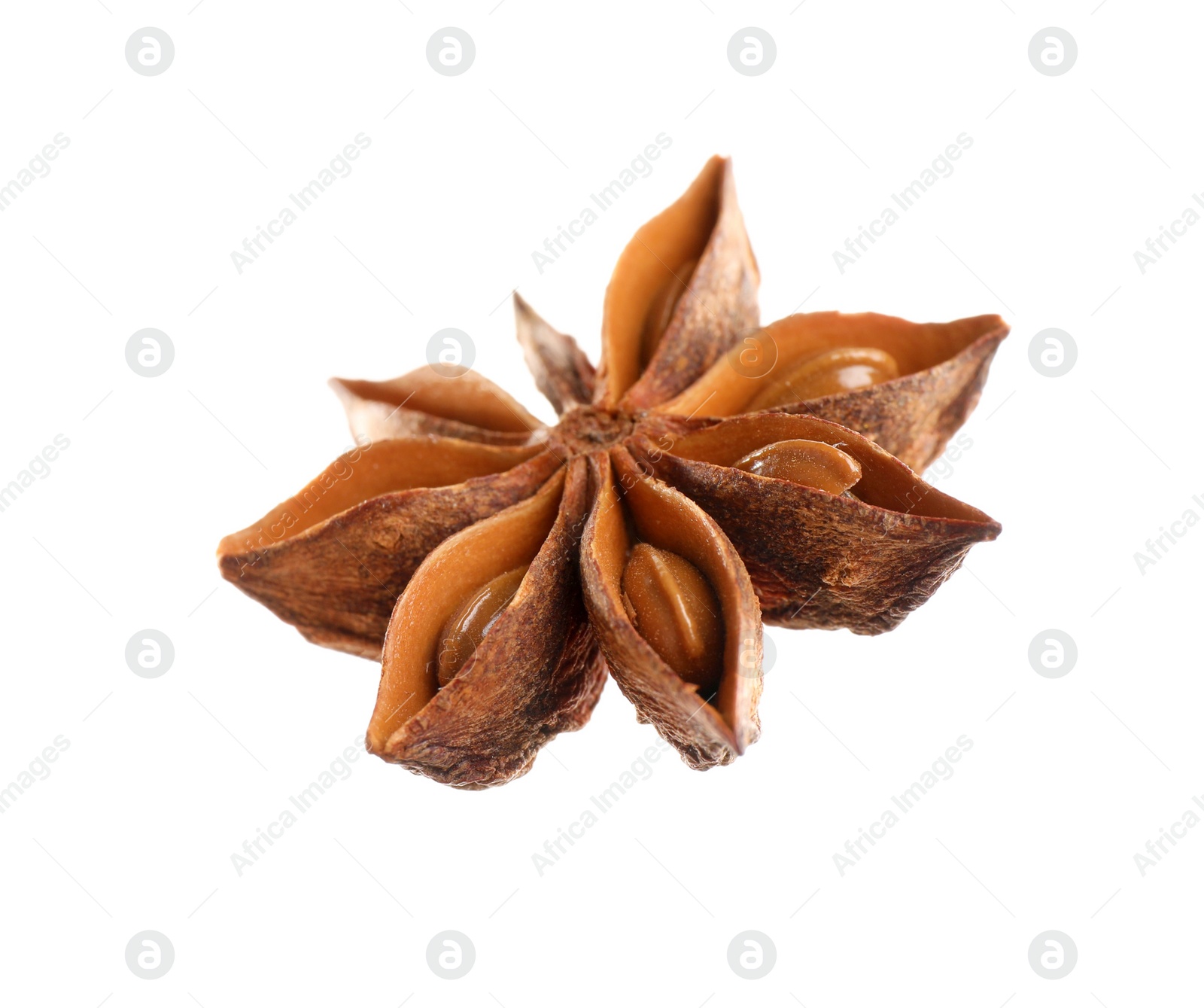 Photo of Dry anise star isolated on white. Mulled wine ingredient