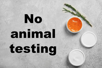Cosmetic products and text NO ANIMAL TESTING on light background, flat lay
