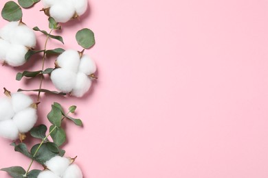 Photo of Cotton flowers and eucalyptus leaves on pink background, flat lay. Space for text