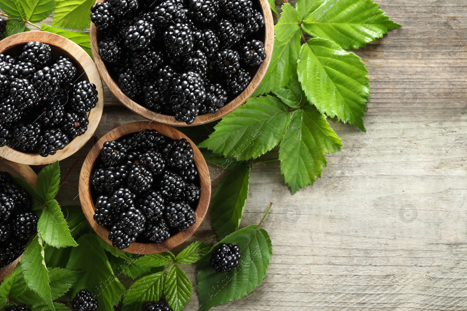 Photo of Ripe blackberries and green leaves on wooden table, flat lay. Space for text