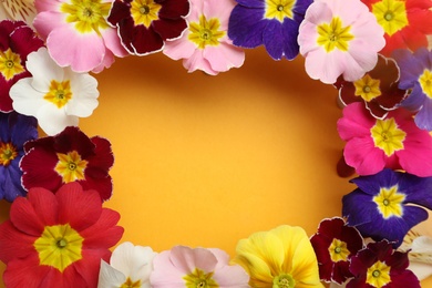 Frame of Primrose Primula Vulgaris flowers on yellow background, flat lay with space for text. Spring season