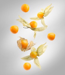 Image of Ripe orange physalis fruits with calyx falling on light grey background