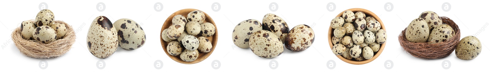 Image of Set with quail eggs on white background. Banner design