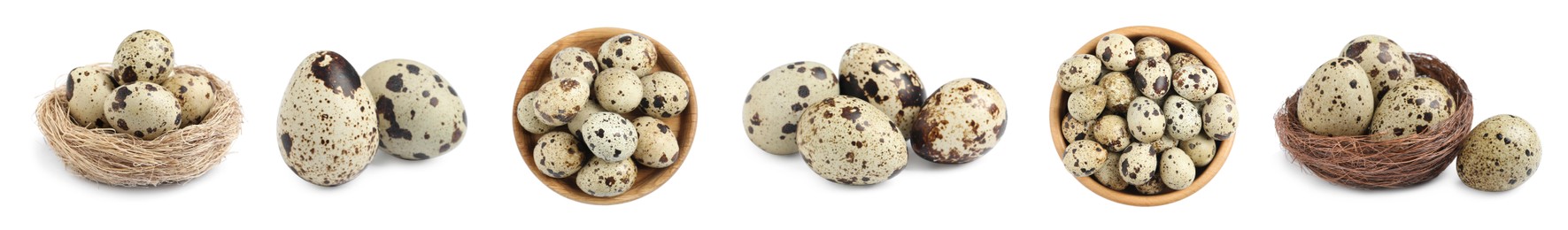 Image of Set with quail eggs on white background. Banner design