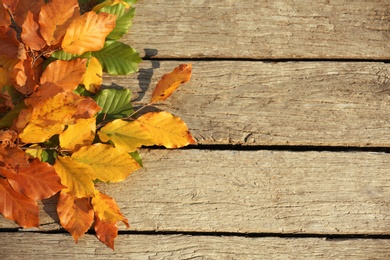 Photo of Bunch of bright autumn leaves on wooden background, top view with space for text