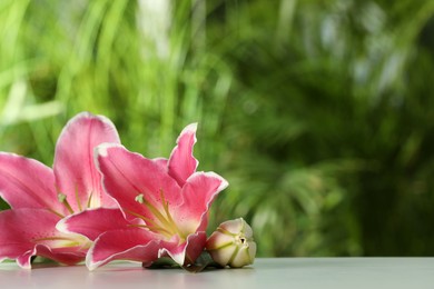 Photo of Beautiful pink lily flowers on table outdoors, space for text