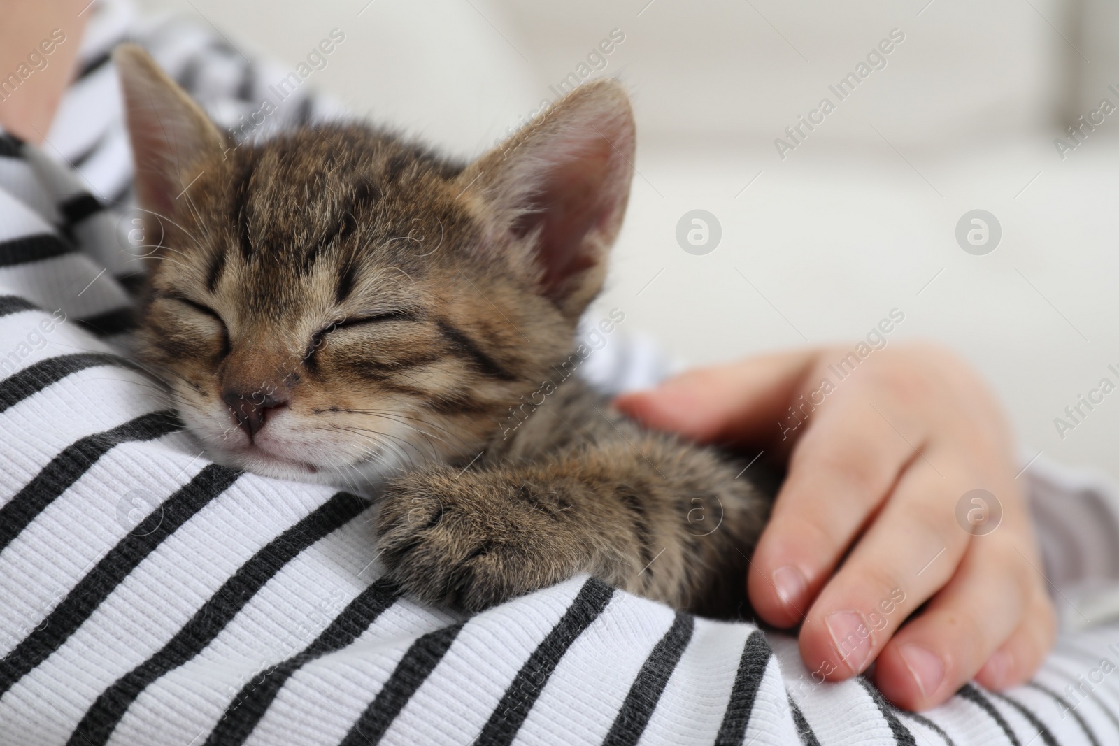 Photo of Little girl with cute fluffy kitten, closeup