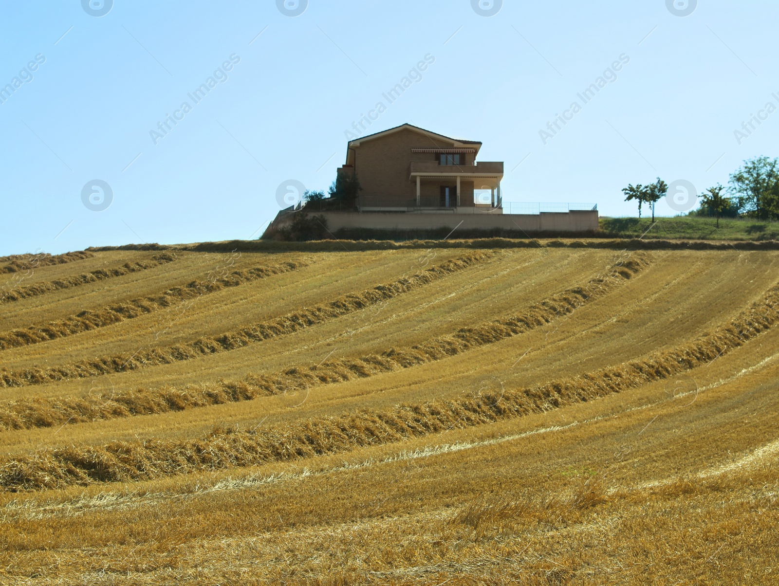 Photo of Beautiful view of agricultural field and estate on sunny day