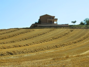 Beautiful view of agricultural field and estate on sunny day