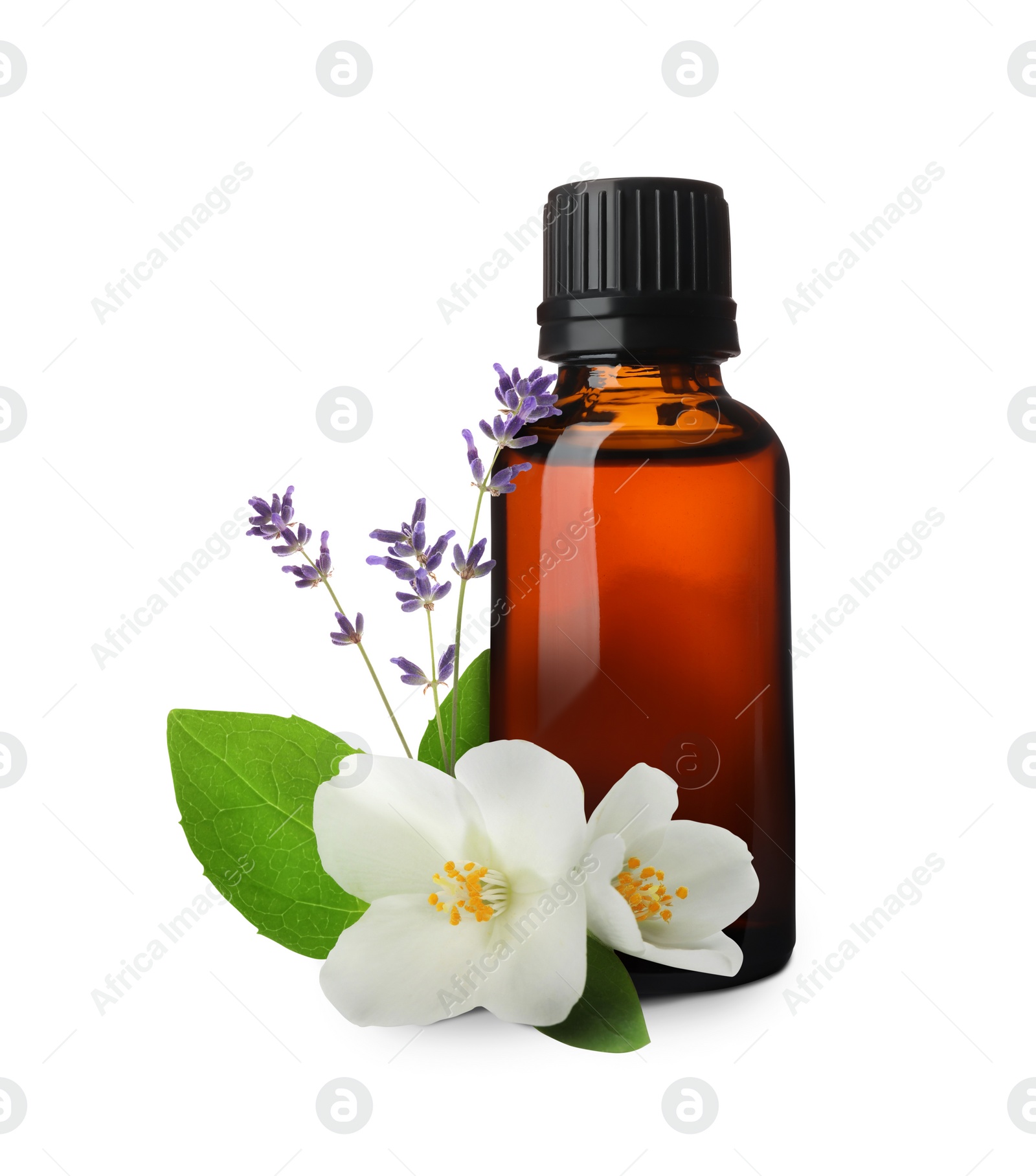 Image of Bottle of lavender jasmine essential oil, green leaves and flowers on white background