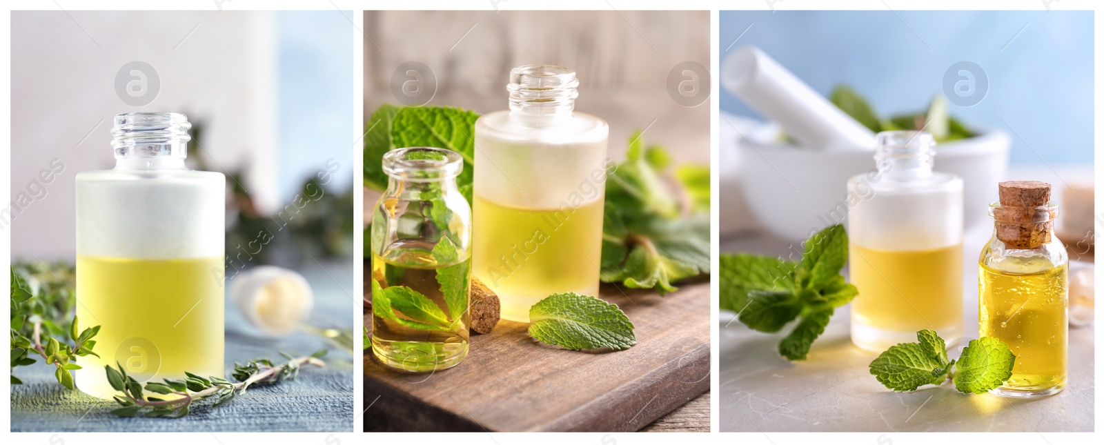 Image of Collage of different photos with essential oils and herbs. Banner design